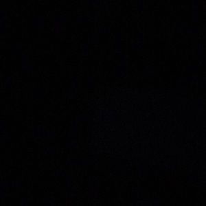 Meet your Posher, Rudy